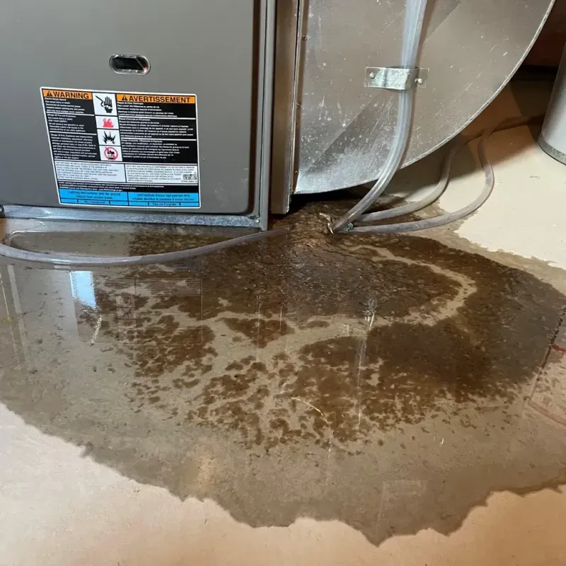 Appliance Leak Cleanup in Laurium, MI